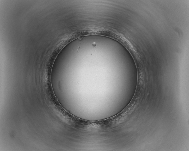 X0000111670257200907311204