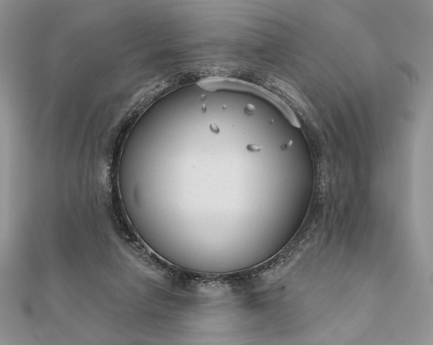 X0000111670258200907311204