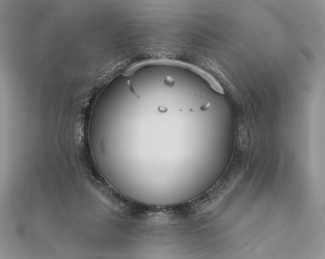 X0000111670259200907311204