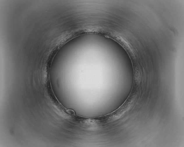 X0000111670261200907311204