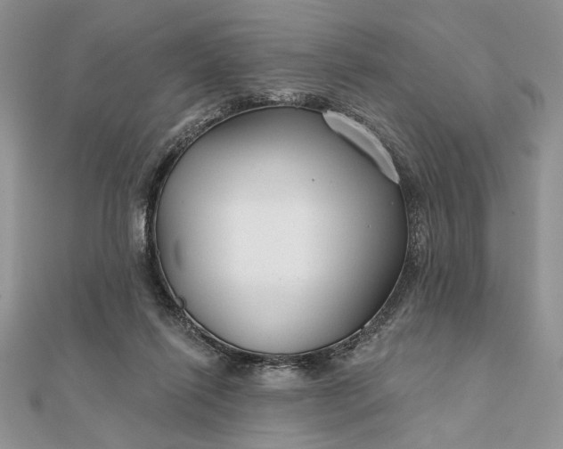 X0000111670262200907311204