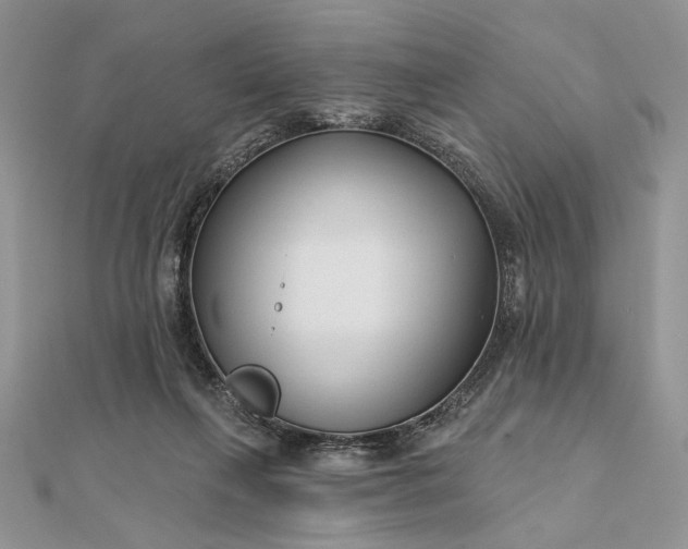 X0000111670263200907311204