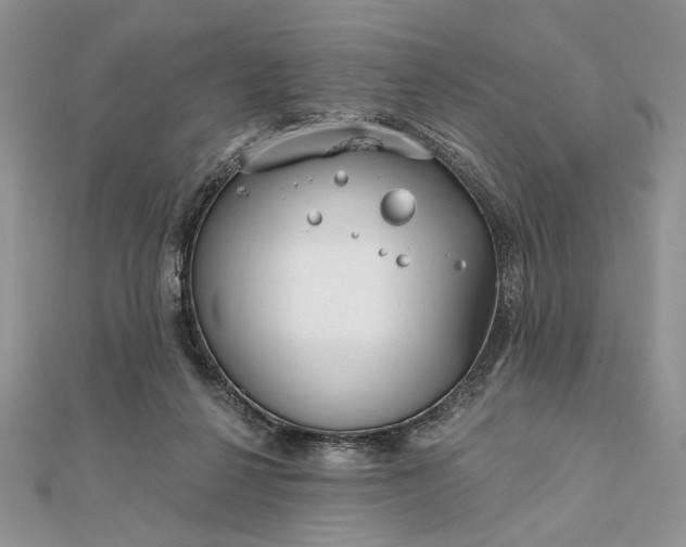 X0000111670264200907311204