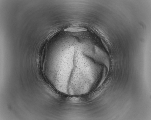 X0000111670265200907311204