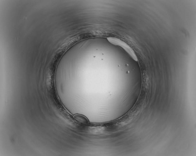 X0000111670266200907311204