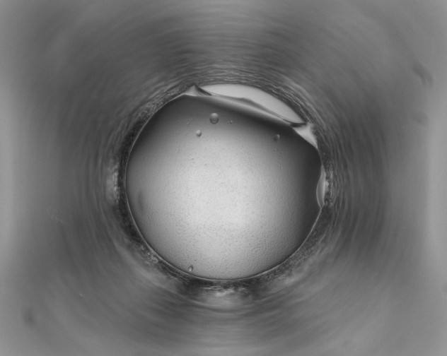 X0000111670267200907311204