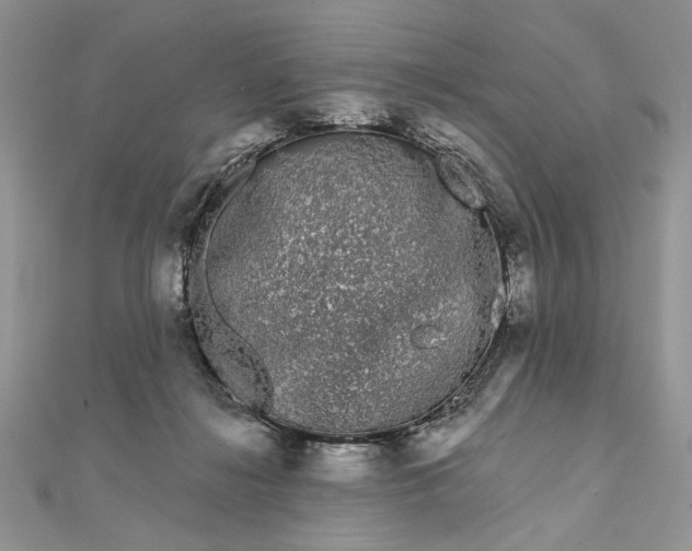 X0000111670268200907311204