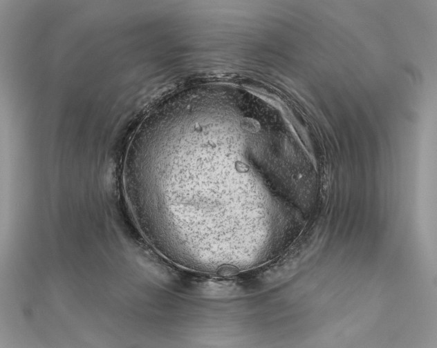 X0000111670270200907311204