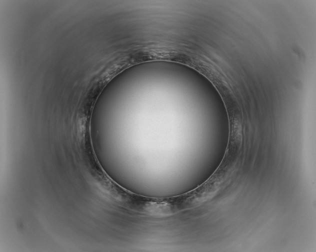 X0000111670271200907311204