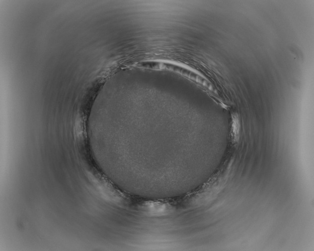 X0000111670272200907311205