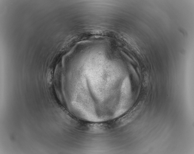 X0000111670273200907311205