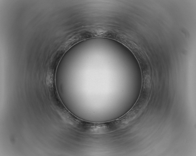 X0000111670274200907311205