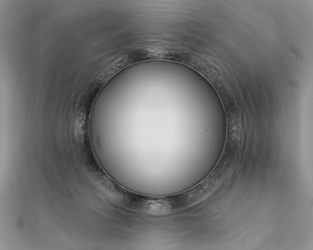 X0000111670275200907311205