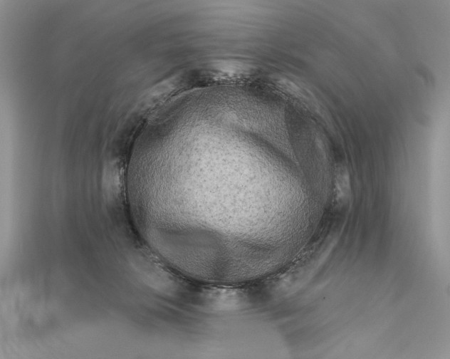 X0000111670276200907311205