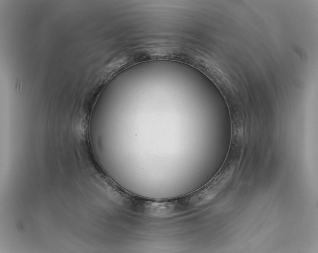 X0000111670277200907311205