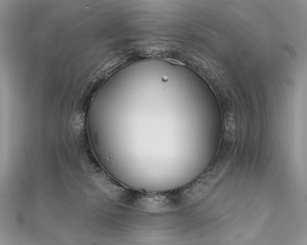 X0000111670278200907311205