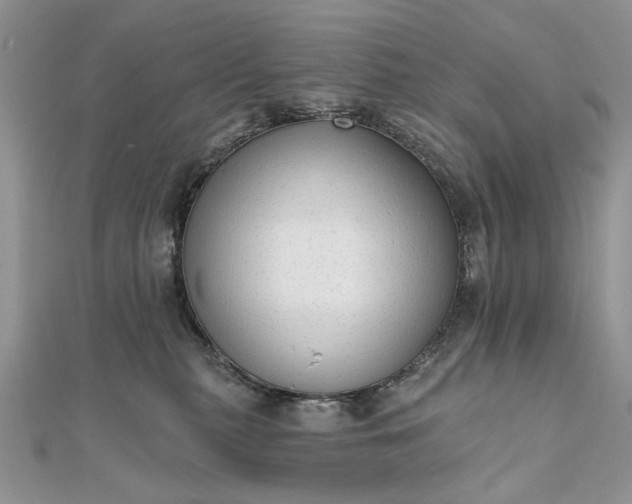 X0000111670279200907311205