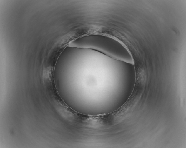 X0000111670280200907311205