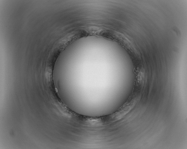 X0000111670283200907311205