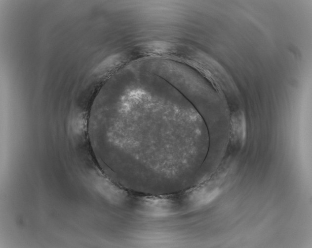 X0000111670284200907311205