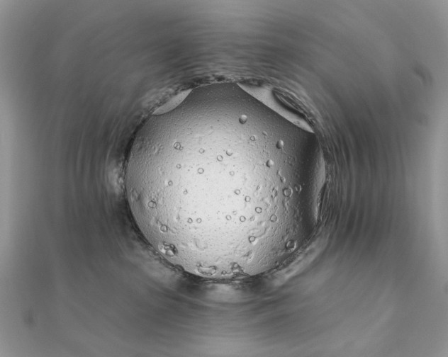 X0000111670285200907311205