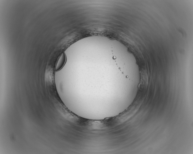 X0000111670287200907311205