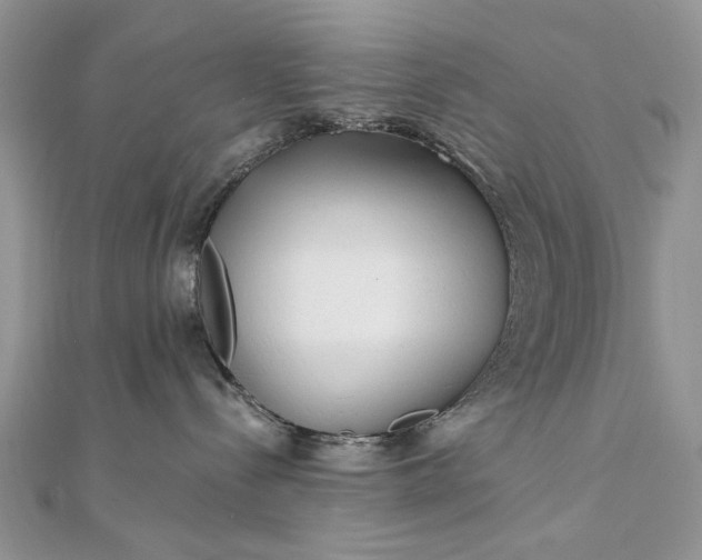 X0000111670288200907311205