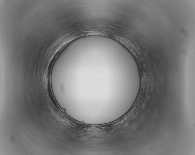 X0000111670290200907311204