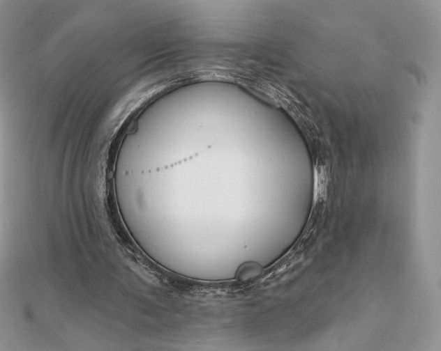 X0000111670291200907311204