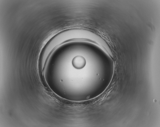 X0000111670292200907311204