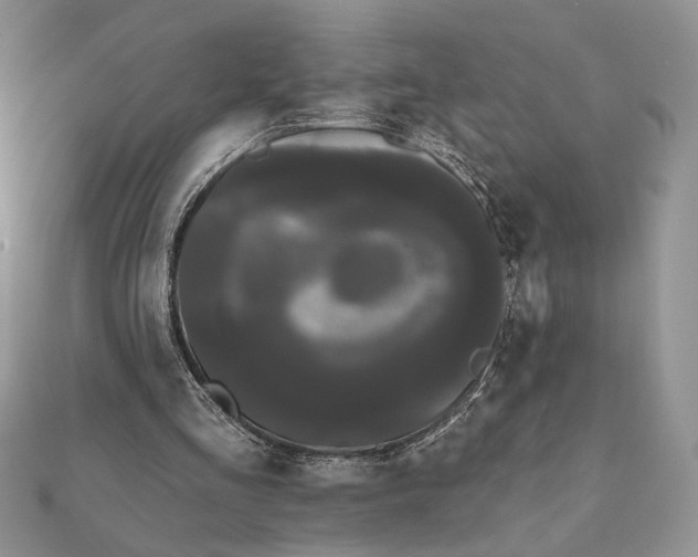 X0000111670293200907311204