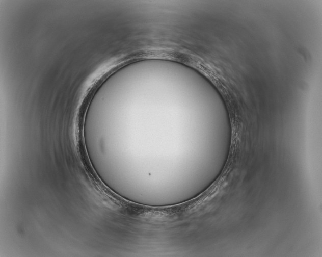 X0000111670294200907311204