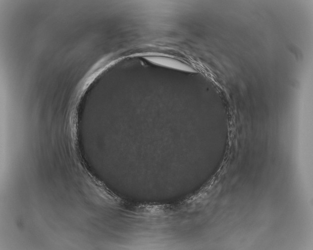 X0000111670295200907311204