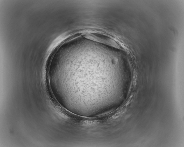 X0000111670296200907311204