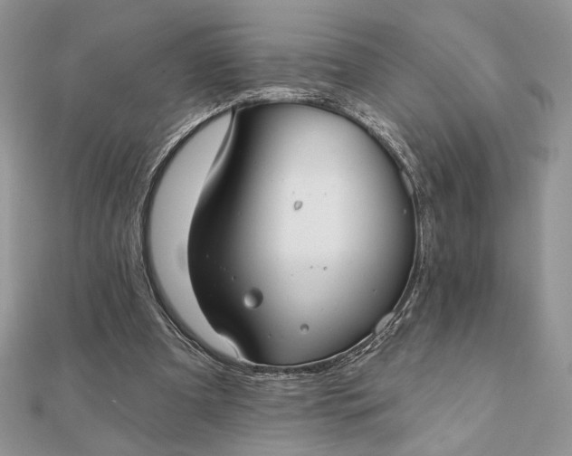 X0000111670297200907311204