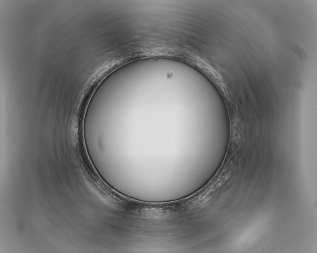 X0000111670298200907311204