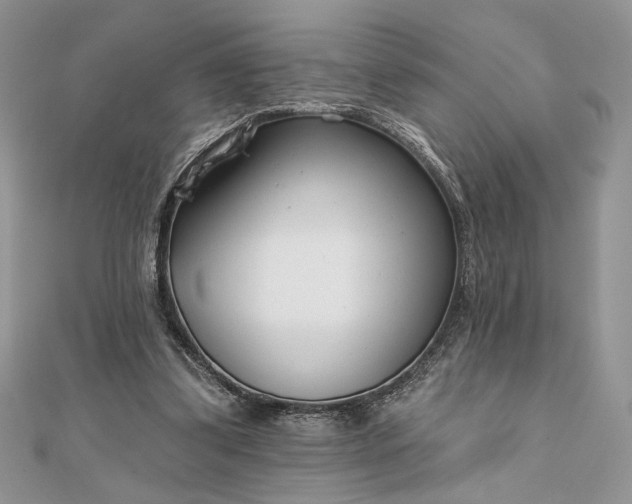 X0000111670299200907311204