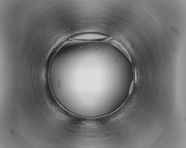 X0000111670300200907311204