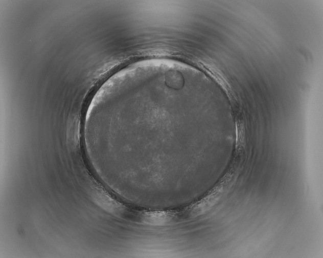 X0000111670301200907311204