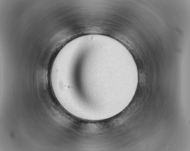 X0000111670302200907311204