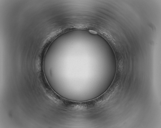 X0000111670303200907311204