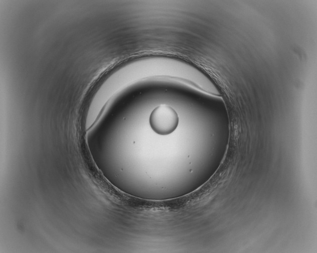 X0000111670304200907311204