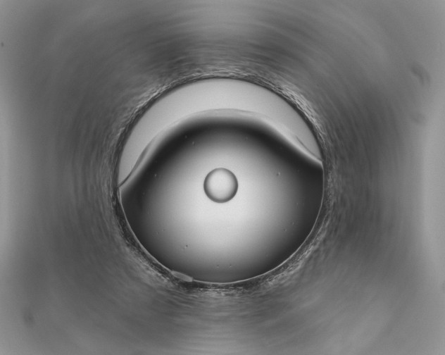 X0000111670305200907311204