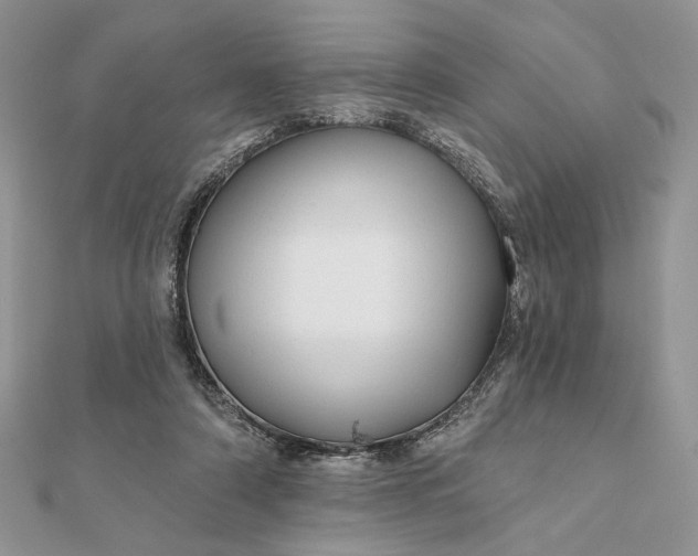 X0000111670306200907311204