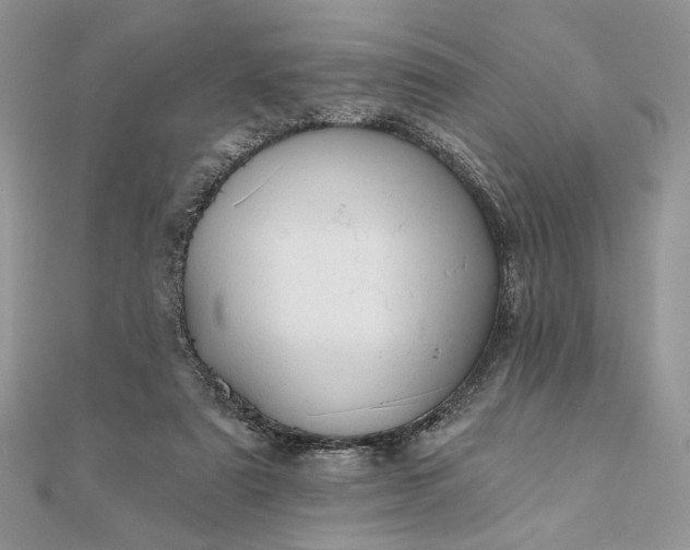 X0000111670307200907311204