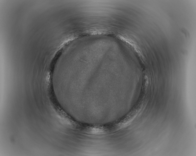 X0000111670308200907311204