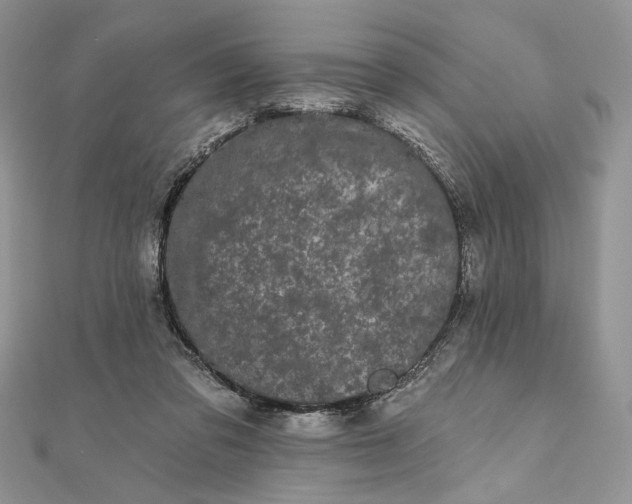 X0000111670309200907311204