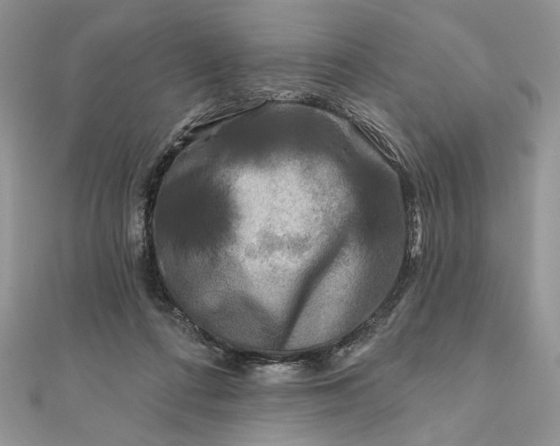 X0000111670312200907311204