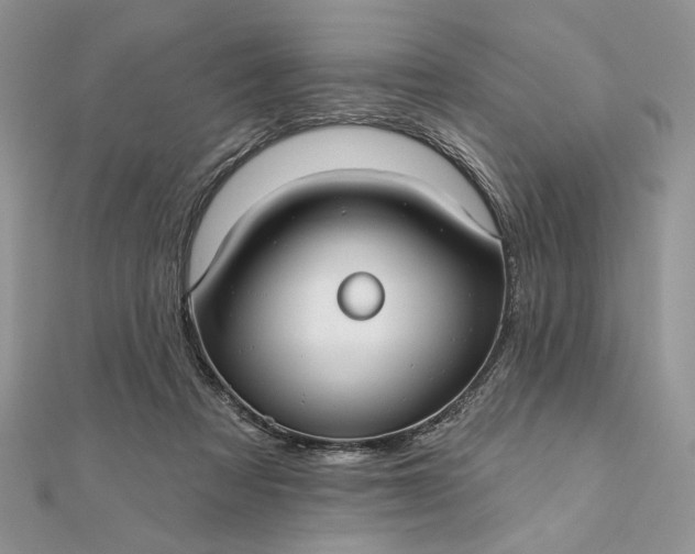 X0000111670313200907311204