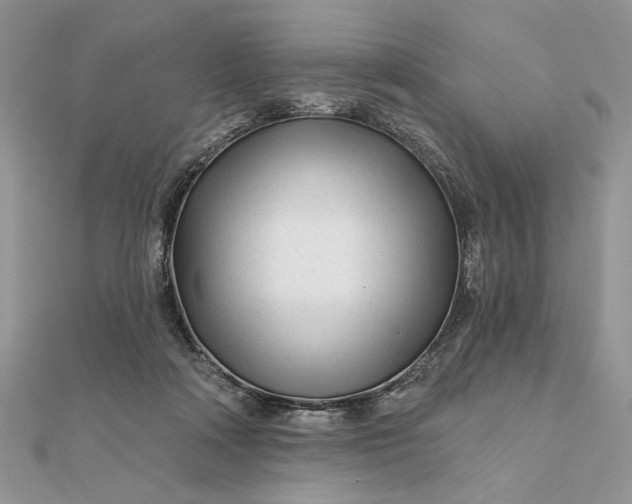 X0000111670314200907311204